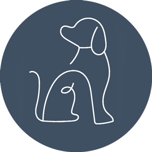icon-300px The Dogs Business icon
